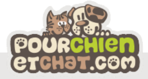 Codes promo et Offres Pourchienetchat