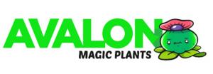 Codes promo et Offres Avalon Magic Plants