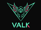 Codes promo et Offres Valk Gaming