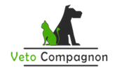 Codes promo et Offres Veto Compagnon