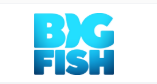 Codes promo et Offres Big Fish